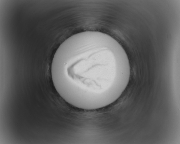 X0000088450964200706191308