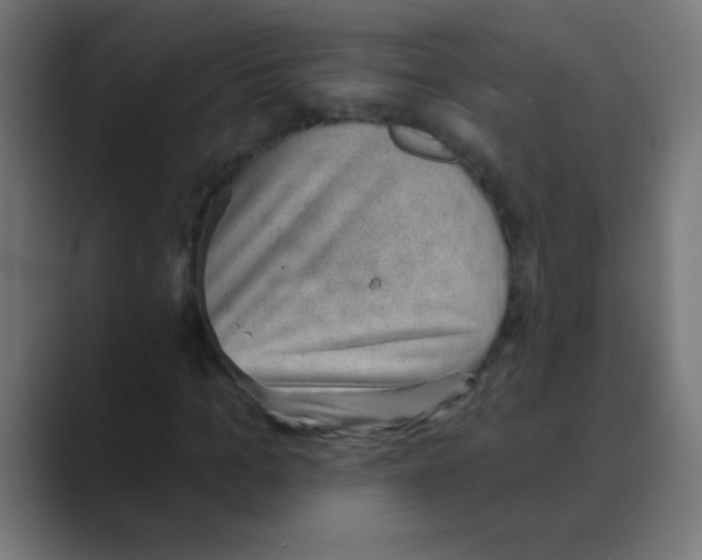 X0000088450965200706191308
