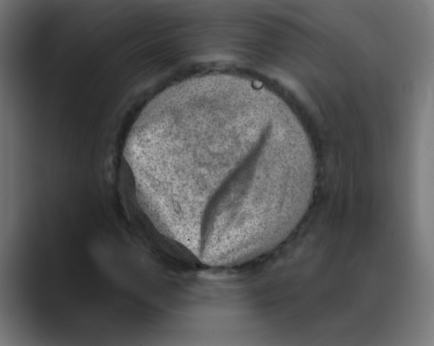 X0000088450967200706191308