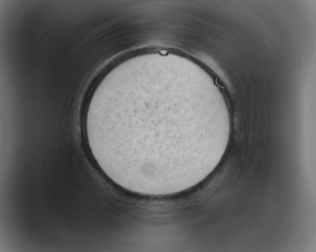 X0000088450972200706191308