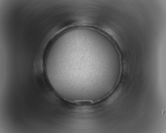 X0000088450973200706191308