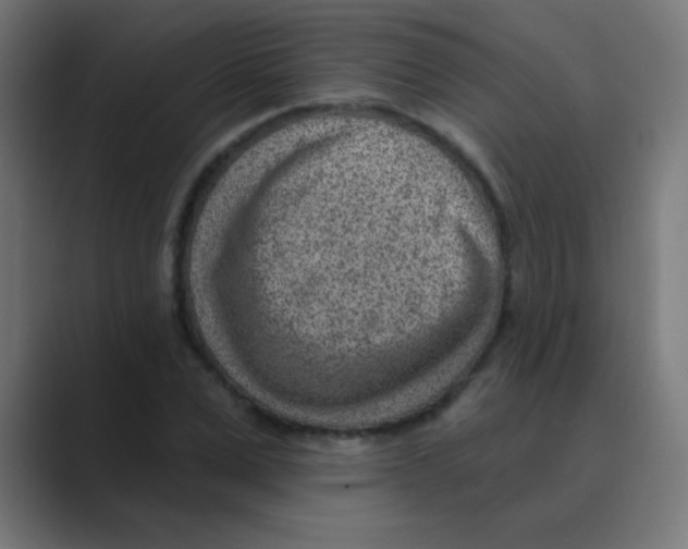 X0000088450975200706191308