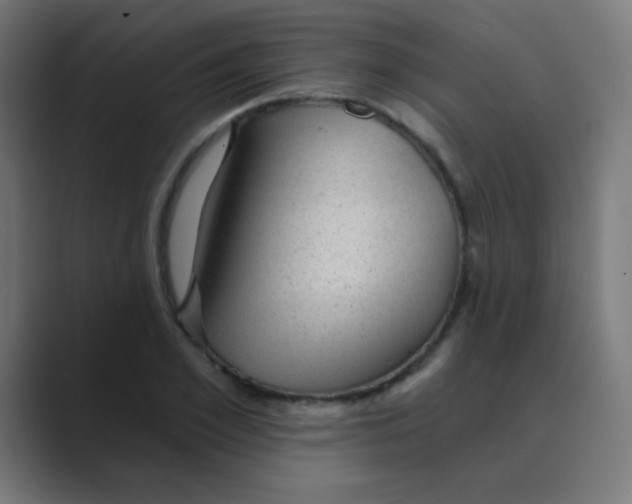 X0000088450981200706191308