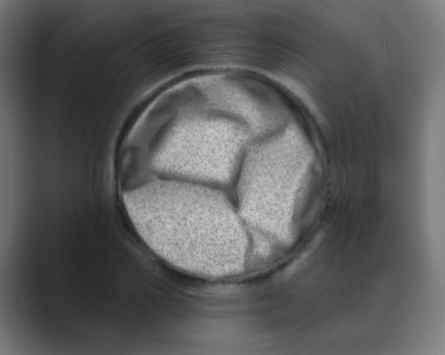 X0000088450982200706191308
