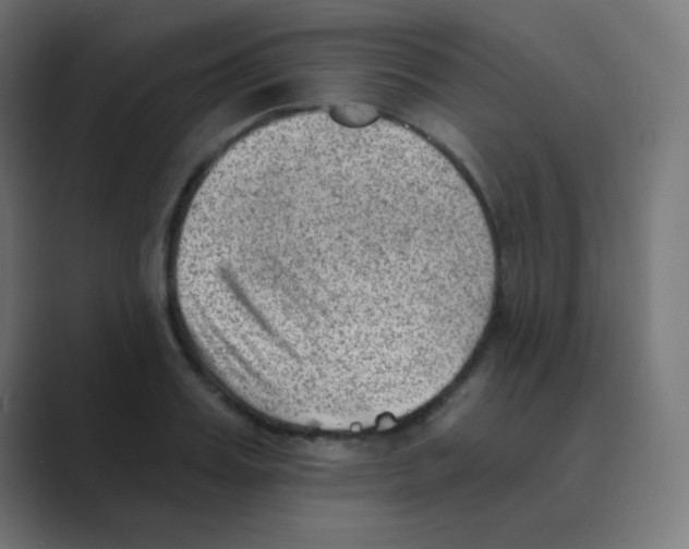 X0000088450987200706191308