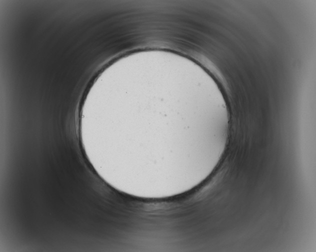 X0000088450988200706191308