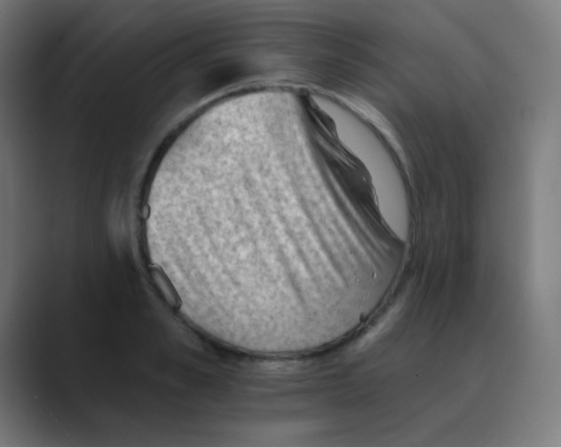 X0000088450989200706191308