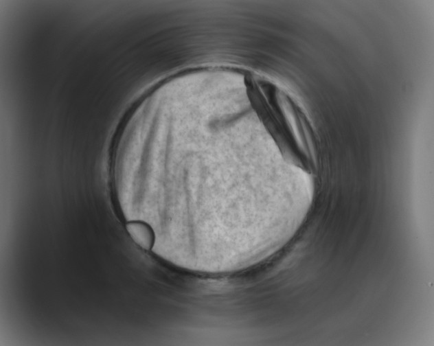 X0000088450990200706191308