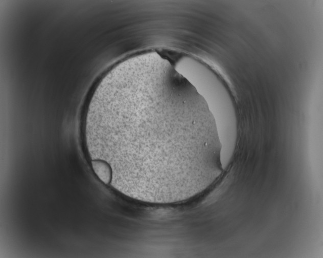 X0000088450991200706191308