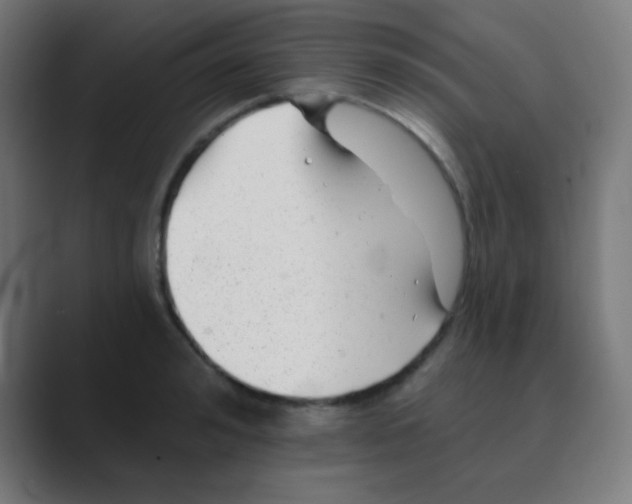X0000088450992200706191308