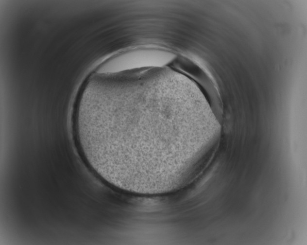 X0000088450995200706191308