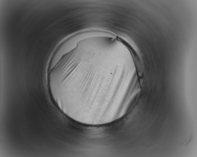 X0000088450996200706191308