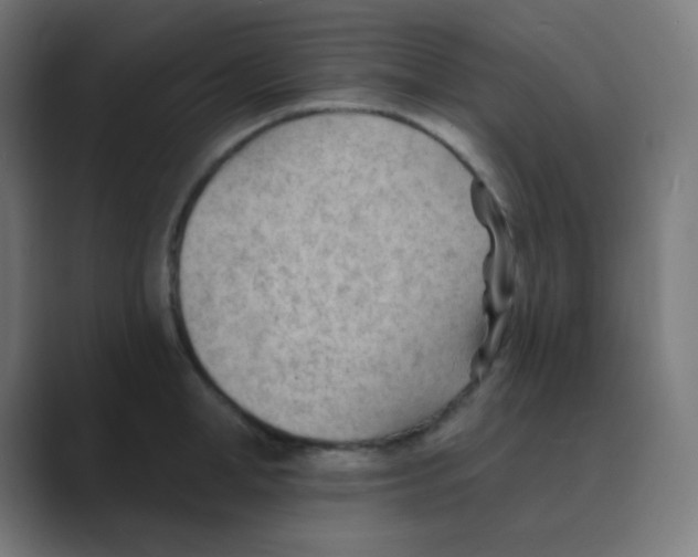 X0000088450998200706191308