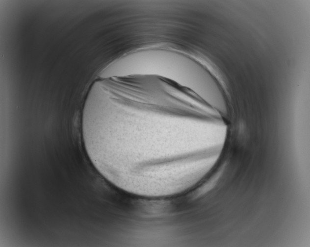 X0000088451001200706191308
