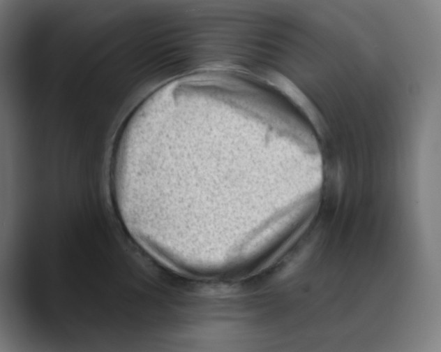 X0000088451002200706191308