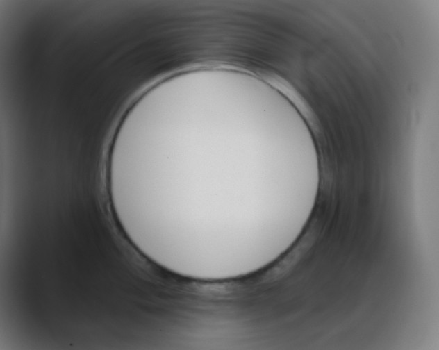 X0000088451004200706191307
