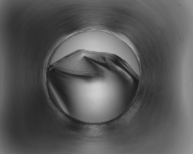 X0000088451005200706191307