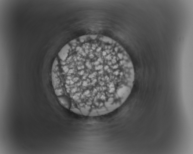 X0000088451009200706191307