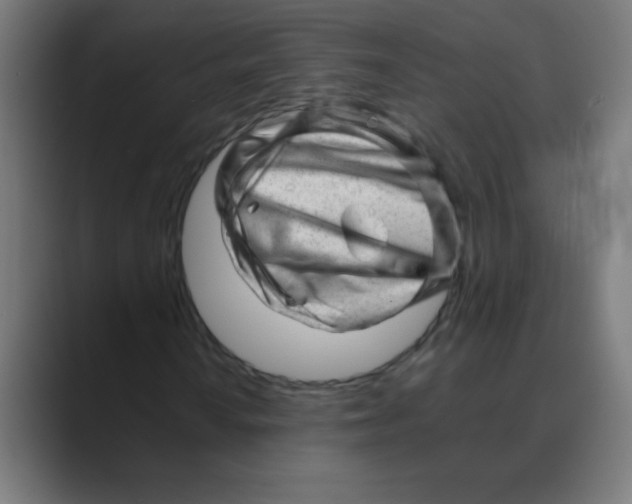 X0000088451010200706191307