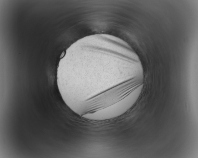 X0000088451012200706191307