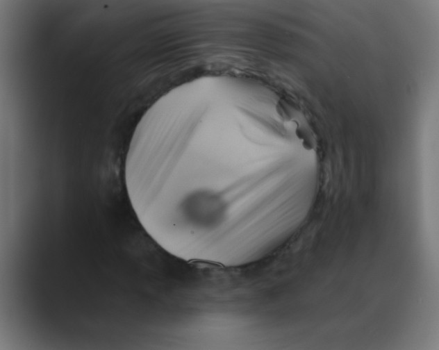 X0000088451013200706191307