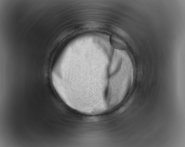 X0000088451017200706191307