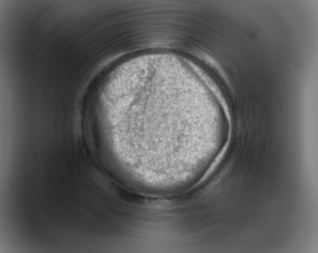 X0000088451019200706191307
