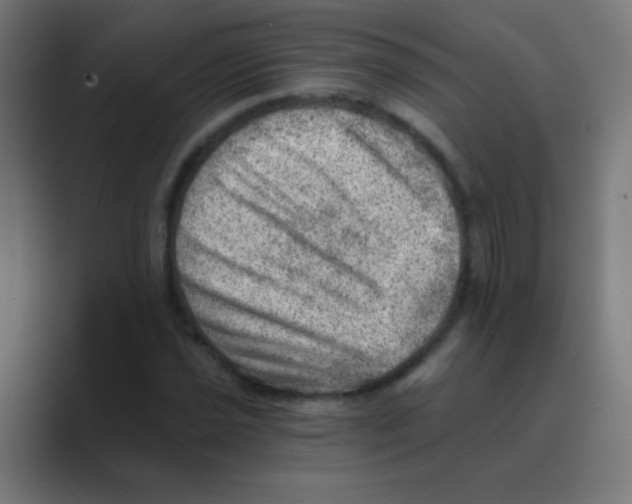 X0000088451021200706191307