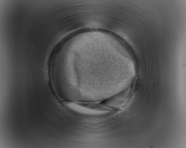 X0000088451022200706191307
