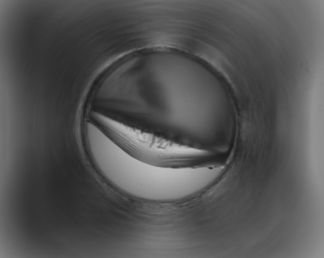 X0000088451024200706191307