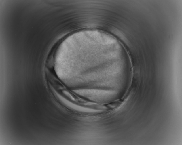 X0000088451026200706191307