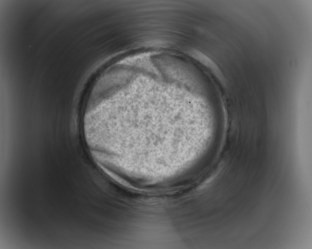 X0000088451027200706191307