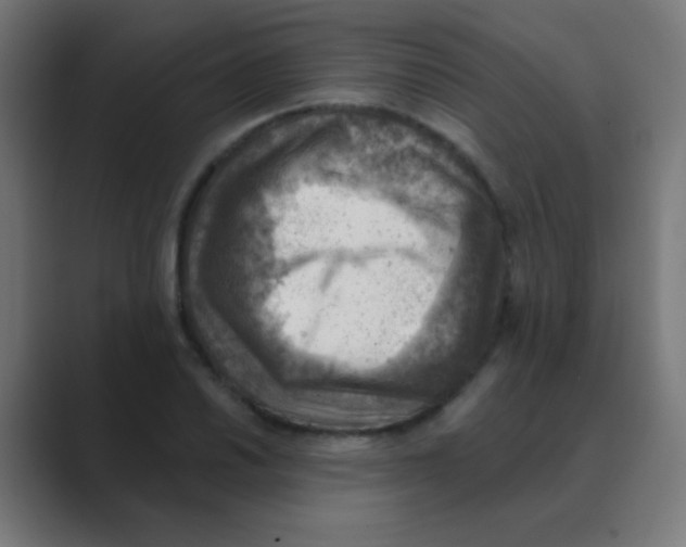 X0000088451030200706191307