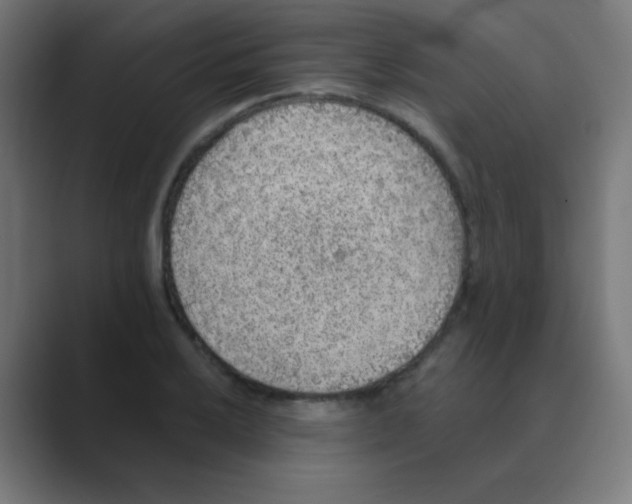 X0000088451032200706191307