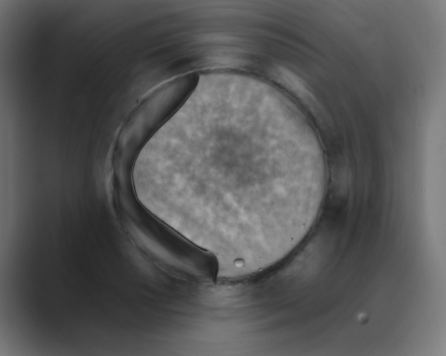 X0000088451034200706191307