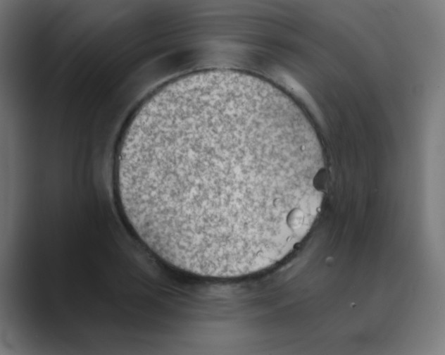 X0000088451035200706191307