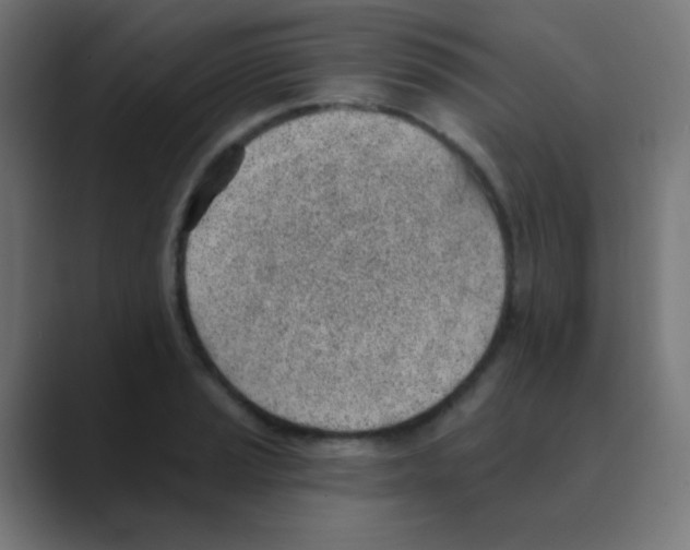 X0000088451037200706191307