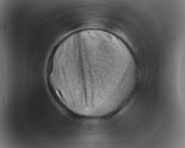 X0000088451038200706191307