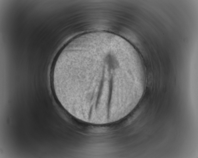 X0000088451039200706191307