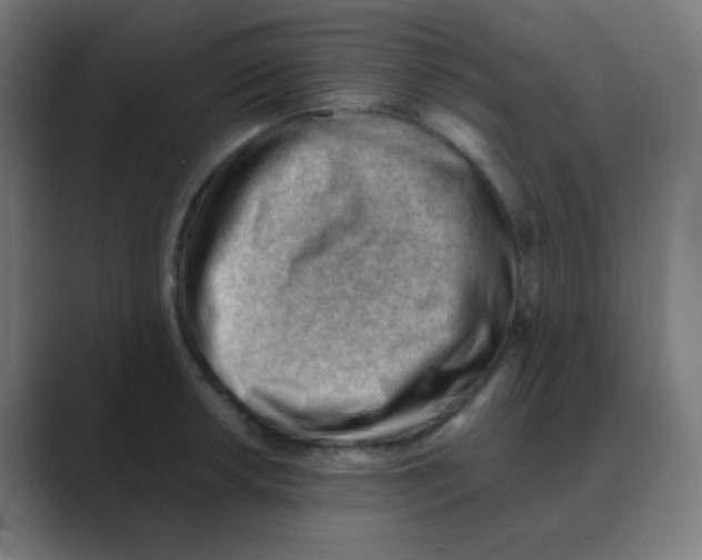 X0000088451042200706191307