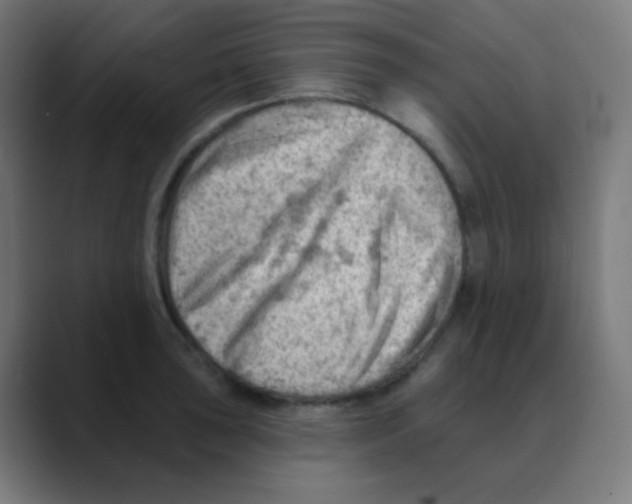 X0000088451043200706191307