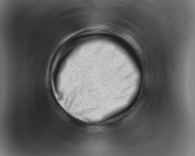 X0000088451044200706191307