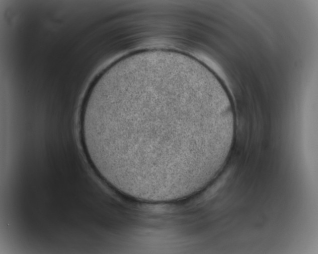 X0000088451045200706191307