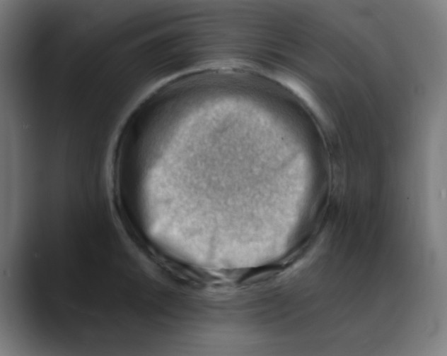 X0000088451046200706191307