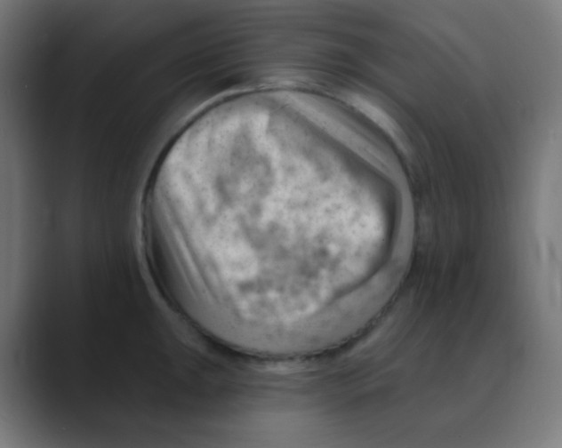 X0000088451047200706191307