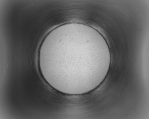 X0000088451048200706191307
