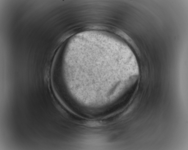 X0000088451049200706191307