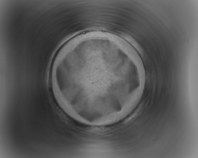 X0000088451052200706191307