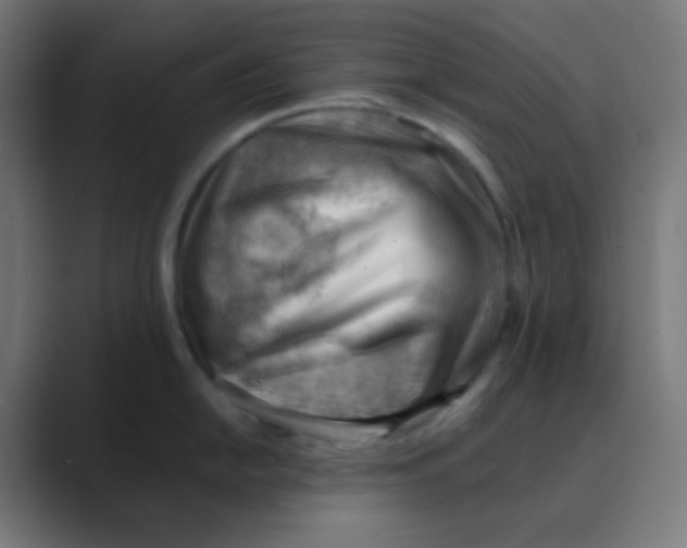 X0000088451054200706191307