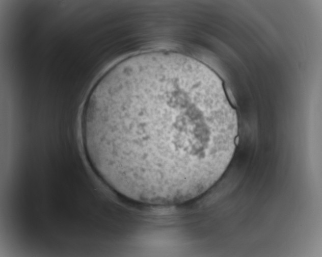 X0000088451055200706191307